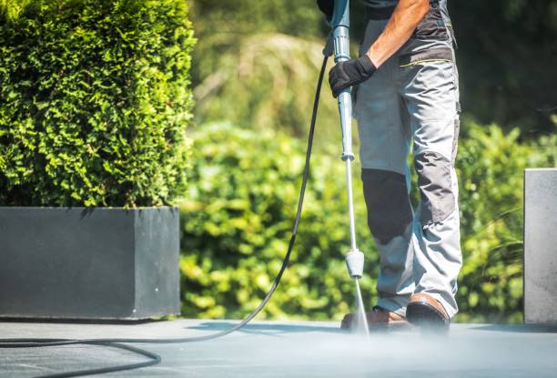 Best Soft Washing for Delicate Surfaces in Locust Valley, NY